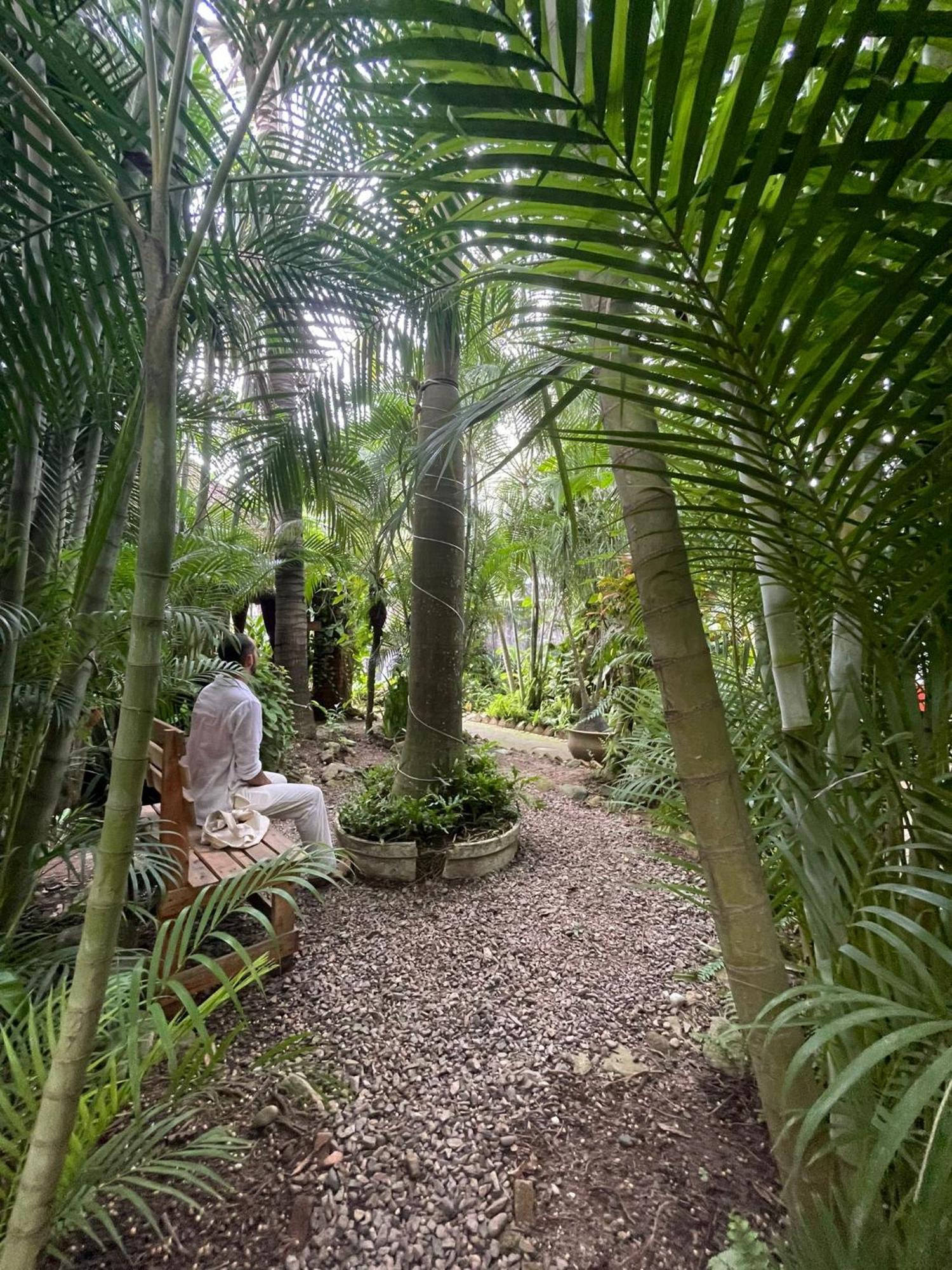 Akoma Sayulita Exteriör bild